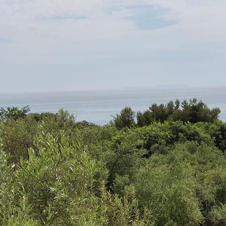 Seaview Apartment بورش المظهر الخارجي الصورة